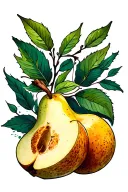 pear tattoo design idea