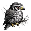 Kestrel tattoo design idea