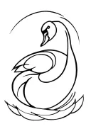 pretty swan tattoo design idea