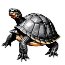 Box Turtle tattoo design idea