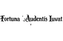 "Fortuna Audentis Iuvat" tattoo design idea