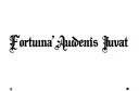 "Fortuna Audentis Iuvat" tattoo design idea