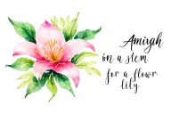 Amiyah in script being a stem for a lilly flower tattoo design idea