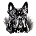 Cane Corso tattoo design idea