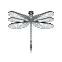 Celtic Dragonfly tattoo design idea