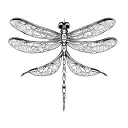 Celtic Dragonfly tattoo design idea