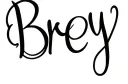 "Brey" tattoo design idea