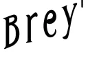 "Brey" tattoo design idea