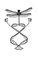 dragonfly surrounded by DNA strands tattoo design idea