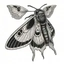 moth tattoo tattoo design idea