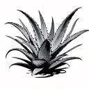 Aloe tattoo design idea