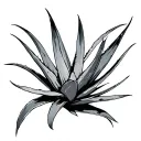 Aloe tattoo design idea