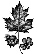 large maple leaf with small clover and thistle at the base tattoo design idea