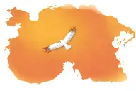 compass over a worldmap with eagle soaring through tattoo design idea