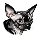 Devon Rex tattoo design idea