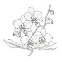 orchid simple outline tattoo design idea