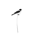 2 Magpie tattoo design idea