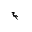 2 Magpie tattoo design idea