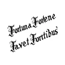 only a sentence "Fortuna Favet Fortibus", font style is similar to the Pantheon in Rome. The tattoo is on my forearm tattoo design idea