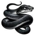 gray black snake slithering down right oblique sensual style tattoo design idea