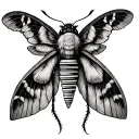 moth with pan flute as wings tattoo design idea