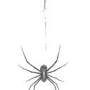 Filler Spider Webs tattoo design idea