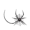 Filler Spider Webs tattoo design idea