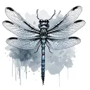 Dragonfly tattoo design idea