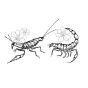 grasshopper and scorpion with flowers in the background tattoo design idea