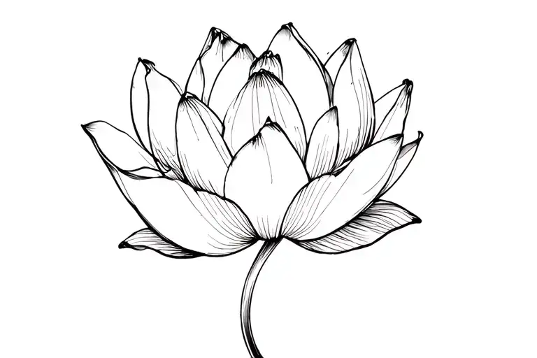 Delicate tiny lotus bloom with curved stem. Fine brushstrokes, subtle splatters. East Asian ink style, elegant. tattoo design idea