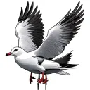 seagull tattoo design idea