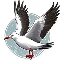 seagull tattoo design idea