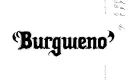 "Burqueno" tattoo design idea