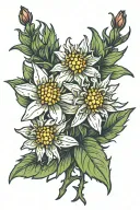 Edelweiss flower with the phrase "nolite you bastards carborundorum tattoo design idea