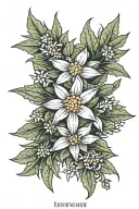 Edelweiss flower with the phrase "nolite you bastards carborundorum tattoo design idea