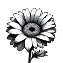 GERBERA DAISY tattoo design idea