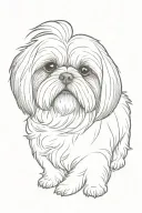 shih tzu tattoo design idea