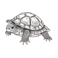 turtle tattoo design idea