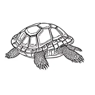 turtle tattoo design idea