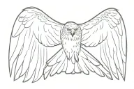 soaring red tailed Hawk viewed from above  tattoo design idea