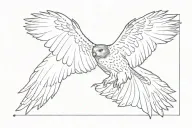 soaring red tailed Hawk viewed from above  tattoo design idea