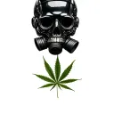 composition black skull robot with a gas mask, in the background a leaf of marijuana in black and white color tattoo design idea