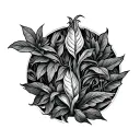 Ayahuasca Vine tattoo design idea