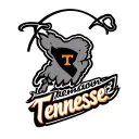 Tennessee volunteers tattoo design idea