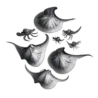 5 sting rays dot timeline style going up left side of back from middle back to shoulder tattoo design idea