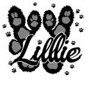 "Lillie" Pet Name with paw prints staggered above  tattoo design idea