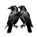 crows and ravens Huginn and Muninn tattoo design idea