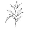 oleander tattoo design idea