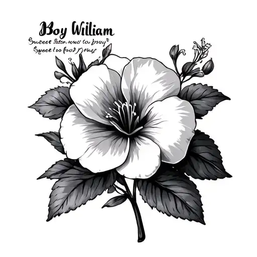 "My boy William" Sweet William tattoo design idea