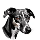 whippet dog, geo patern, mandela tattoo tattoo design idea